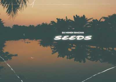 Dj Hindi Bacha - Seeds