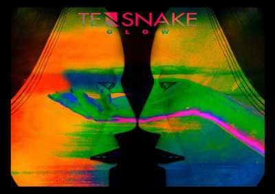Tensnake, Nile Rodgers, Fiora - Love Sublime