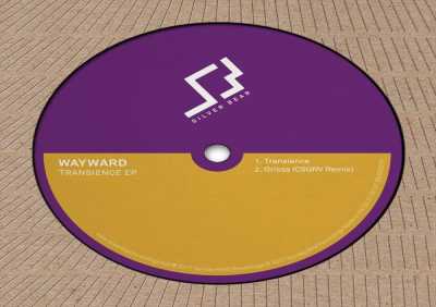The Wayward - Transience