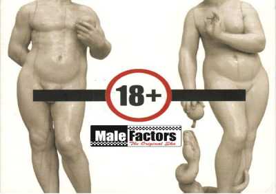 Male Factors - Сука любовь