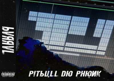 Barral - Pitbull do Phonk