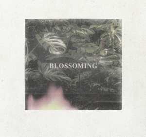 Mononome, Drips Zacheer - Blossoming