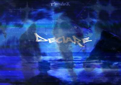 Flonex - DECLARE