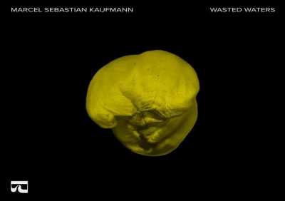 Marcel Sebastian Kaufmann - Wasted Waters