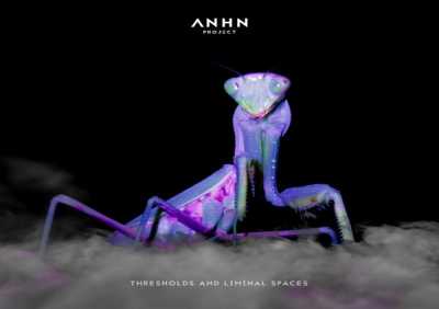 ANHN Project - Netherworld