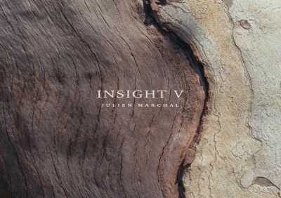Julien Marchal - Insight LIII
