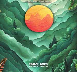 Say Mo - LIL BIT & 1 shot 2 (Waysberg Music Remix)