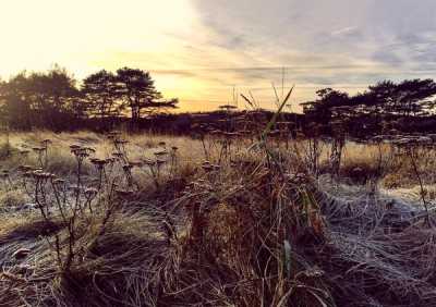 Ane Brun - Always On My Mind