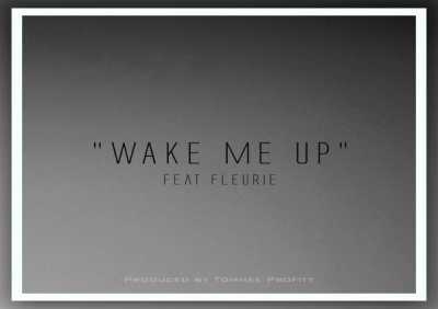 Tommee Profitt, Fleurie - Wake Me Up